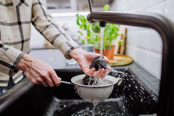 Woman cleaning shungite stones in sieve with pouring water in sink.