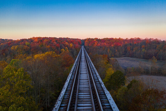 Gray metal train rail surrounded by trees