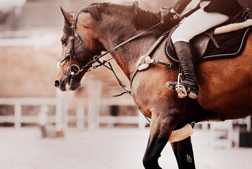 A beautiful bay fast horse gallops around the arena at equestrian show jumping competitions....