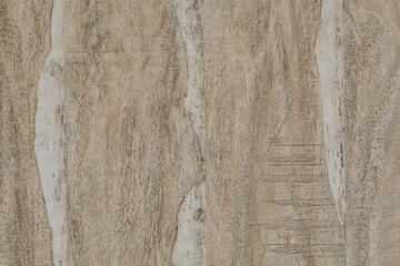 Light color Wood Background Texture with lines