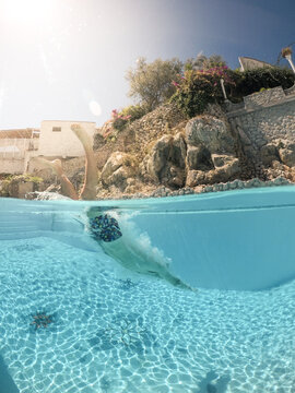 Man swimming in a swimming pool