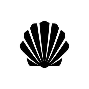 recommend clip art: Seashell icon. Shell of sea molluscs. Isolated raster illustration on a white background.