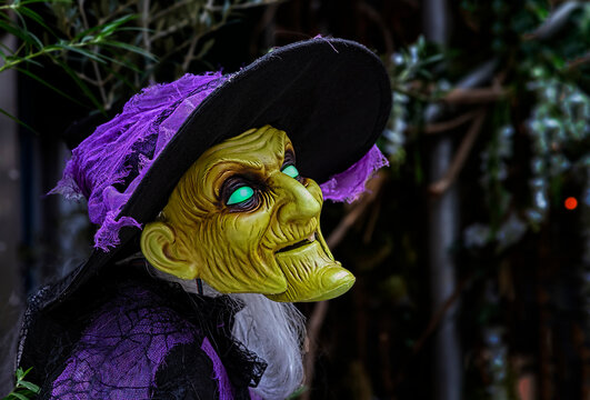 Scary old witch mask with purple hat