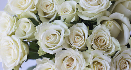 Obraz na płótnie Canvas front top macro photo of a bouquet of white roses, wide format for background and studio photo 