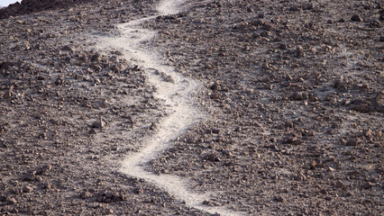Dirt path through the desert