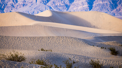 Mesquite Flat Sand Dunes from Death Valley