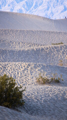 Mesquite Flat Sand Dunes from Death Valley