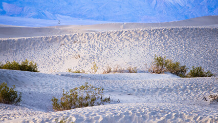 Obraz premium Mesquite Flat Sand Dunes from Death Valley
