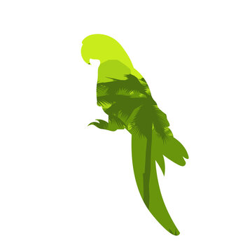 recommend clip art: Clever speaking parrot silhouette on white background. Vector african savannah and colorful sky. EPS