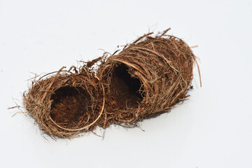 cocoon of red palm weevil on white background . it made from coconut fiber .  red palm weevil nest