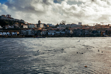 Naklejka premium panorama of the douro river in porto
