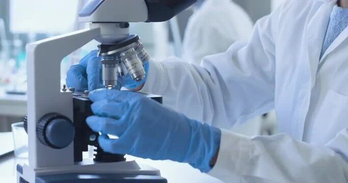 Young researcher examining a sample