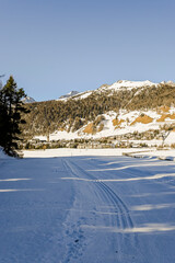 Celerina, Dorf, Langlauf, Langlaufloipe, Bel Taimpel, Kirche, Oberengadin, Engadin, Alpen, Wanderweg, Engadiner Dorf, Graubünden, St. Moritz, Winter, Wintersport, Schweiz