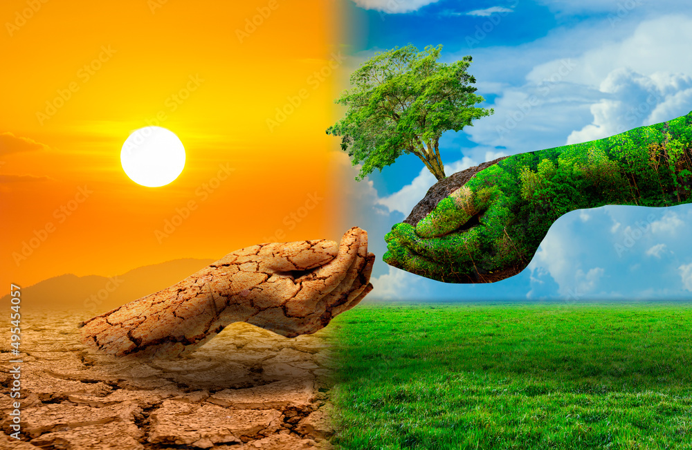 Wall mural tree in two hands with very different environments earth day or world environment day global warming