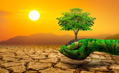 tree in two hands  with very different environments Earth Day or World Environment Day Global...