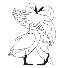 Continuous drawing of two beautiful swans. Married couple. Line art