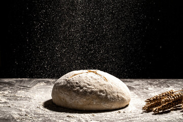yeast dough for bread or pizza on a floured surface, with flour splash. Cooking bread. Kneading the...