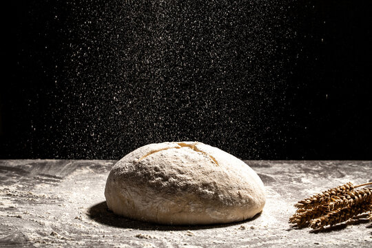 yeast dough for bread or pizza on a floured surface, with flour splash. Cooking bread. Kneading the Dough. Long banner format.