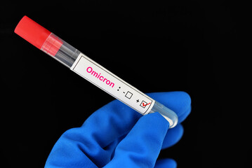 Fototapeta premium Omicron positive, nasopharyngeal swab positive with Omicron or B.1.1.529 variant of COVID-19 coronavirus
