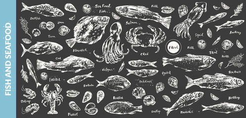 Hand drawn chalk sketch of seafood and fish - obrazy, fototapety, plakaty