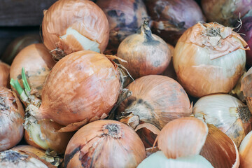 onions in the market