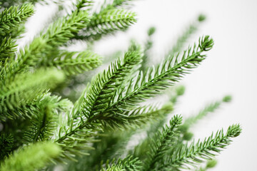 Fluffy branches of spruce. Artificial cast needles. Christmas branches on a white background