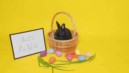 A black rabbit is sitting in a corina on a yellow background. Next to it are colorful Easter eggs,...