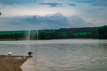 a lake with a jet of water in the middle. landscape with a lake and ducks in the foreground....