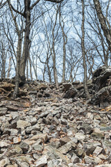 Fototapeta premium A section of loose, discarded rocks spill down a hillside near a hiking trail by an old quarry in Western Pennsylvania.