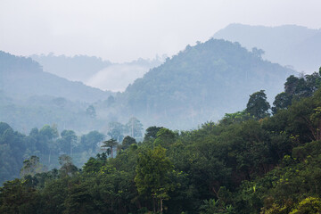 Fototapeta na wymiar Greenery scenic mountain in tropical forest in Thailand