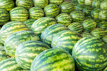 Lots of large sweet green watermelons uesd for background texture.