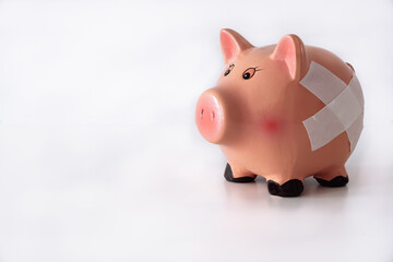 piggy bank piggy bank on a white background