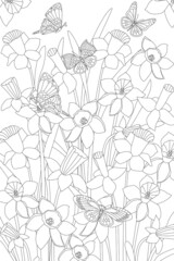 field of daffodils with flying butterflies for your coloring boo