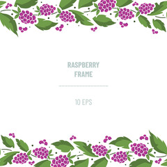 Horizontal border composition with raspberries on foliate twigs; perfect for greeting cards, posters, banners, invitations and other design. Vector illustration. - 495466620