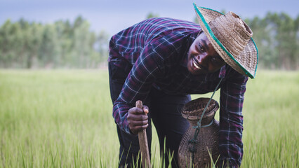 African farmer is happily working and cultivating on his farm with holding agricultural...