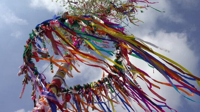 Stammhalter Bilder Durchsuchen 481 Archivfotos, und