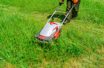 Fototapeta premium A man mows the grass with an electric lawn mower. Freshly mown grass.