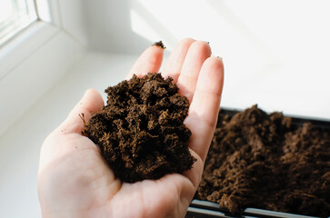 Preparation of soil for planting plants at home. Close-up.