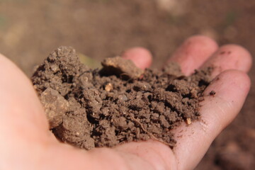 The day of  the earth