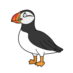 Cute cartoon vector illustration of a puffin
