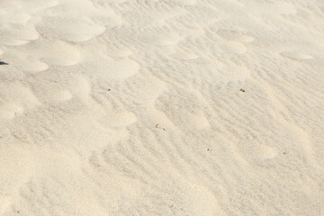 texture background on beach