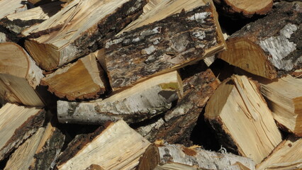 logging. deforestation. close-up of piled chunks of wood billet