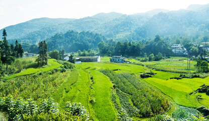 Rice terrace and village landscape in China