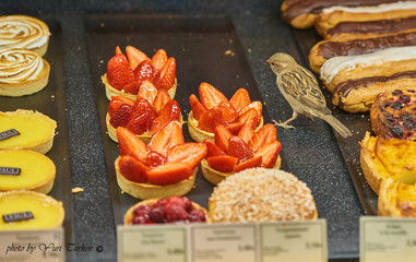 Sparrow in the confectionery shop in Lyon