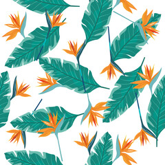 Fototapeta na wymiar Bird of paradise flower and leaves pattern.Jungle background
