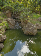 Naklejka na ściany i meble Tropical Rainforest Stream and Pond from Hawaii.