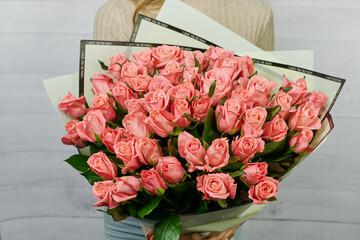  bouquet of 51 coral pink roses in a package in the hands of a person on a light background