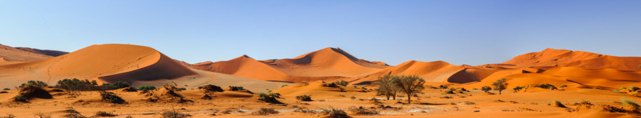 Acaciabomen en duinen in de Namib-woestijn / duinen en kameeldoornbomen, Vachellia erioloba, in de Namib-woestijn, Sossusvlei, Namibië, Afrika.