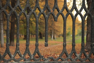 Old metallic fense in city park 