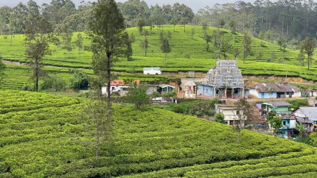 Sri Muthumariyamman kovil Tample in small village hiden in Ceylon green tea plantations 4K footage. Exotic countries traveling or tea cultivation agriculture concept. Haputale, Sri Lanka